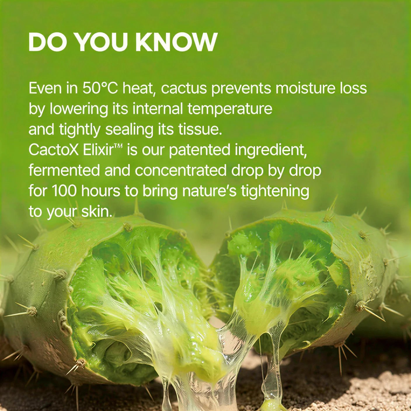 V-Lifting Mewing Band (4x Masks Per Pack)